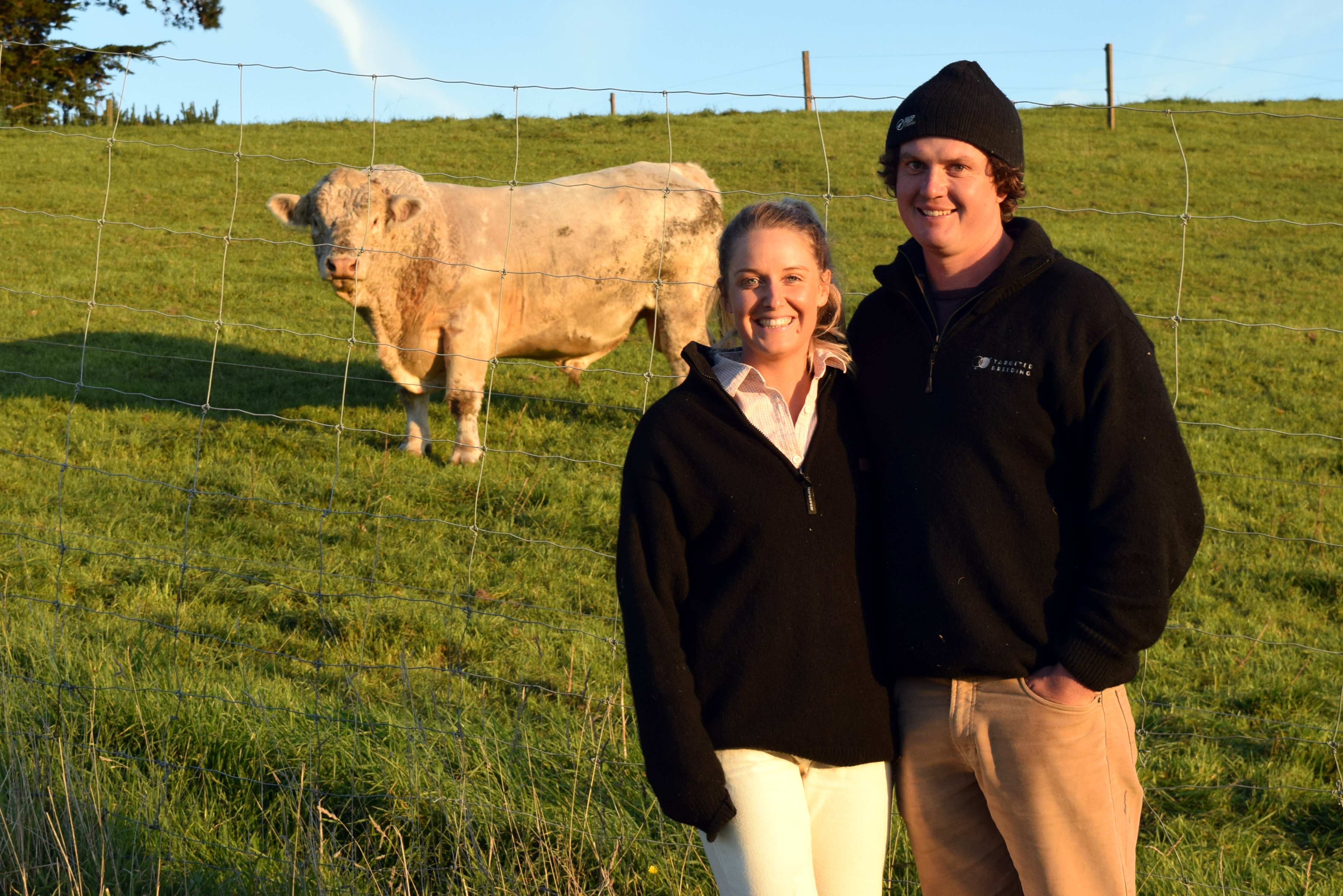 Workshop advises on assessing bulls | Otago Daily Times Online News