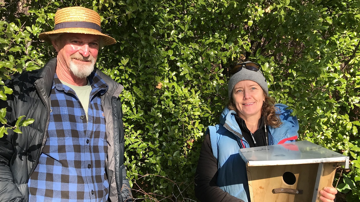 Forest & Bird volunteers Andrew Penniket and Jo Tilson, of Wānaka, are trying to prevent the...