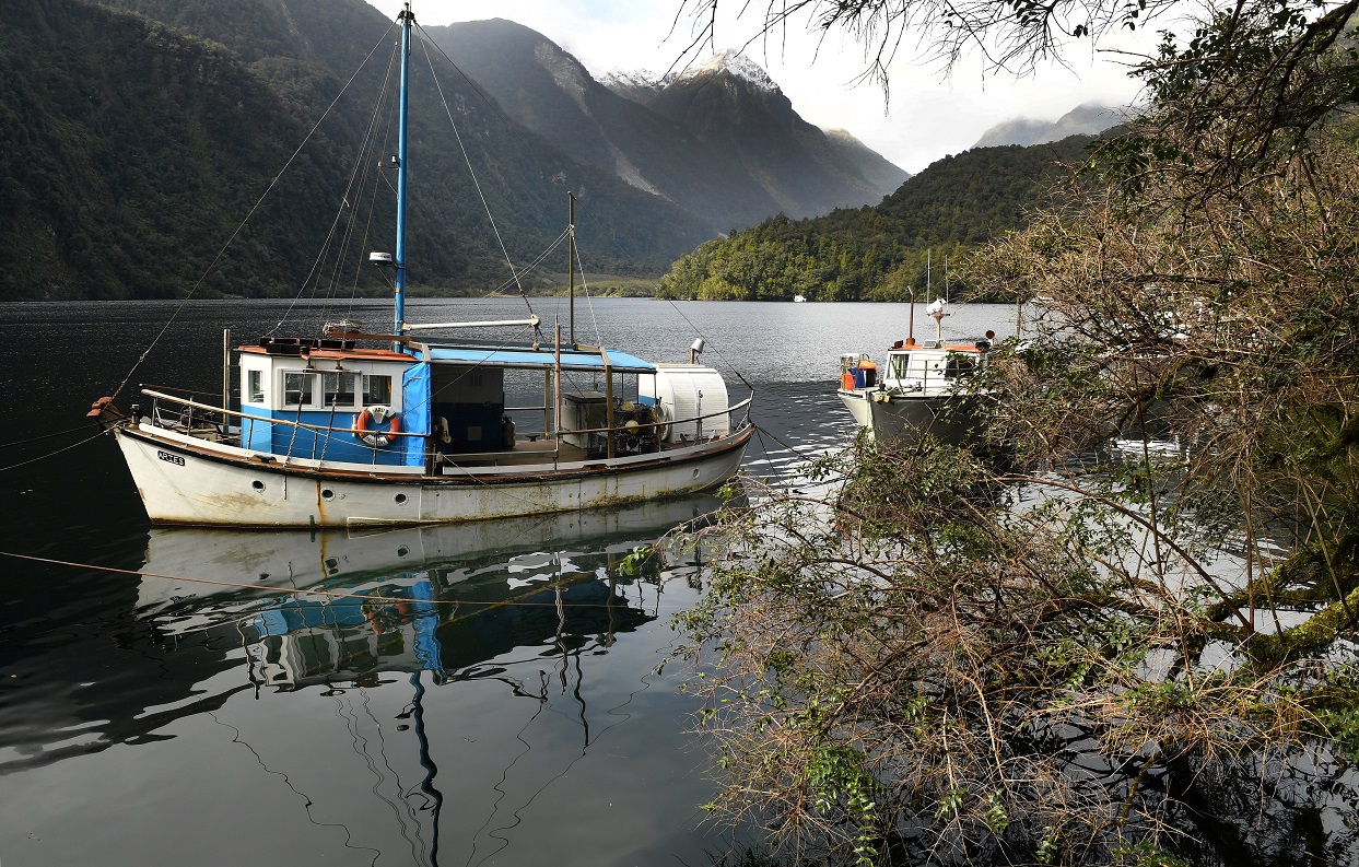 Fishing boats tied up at Deep Cove, in Doubtful Sound. File photo: Stephen Jaquiery