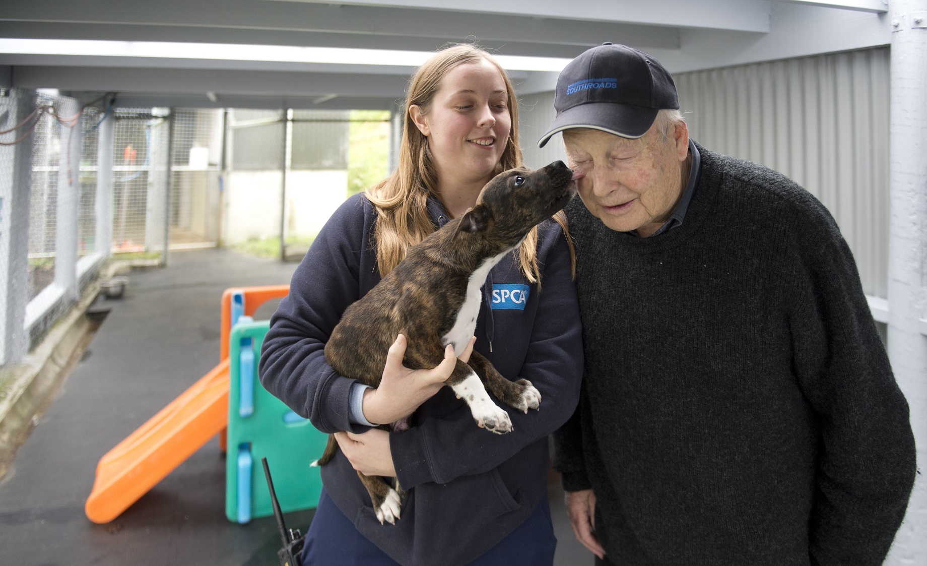 SPCA worker Gemma Mitchell and Mike Beath play with Moose the puppy in the new SPCA puppy pen....