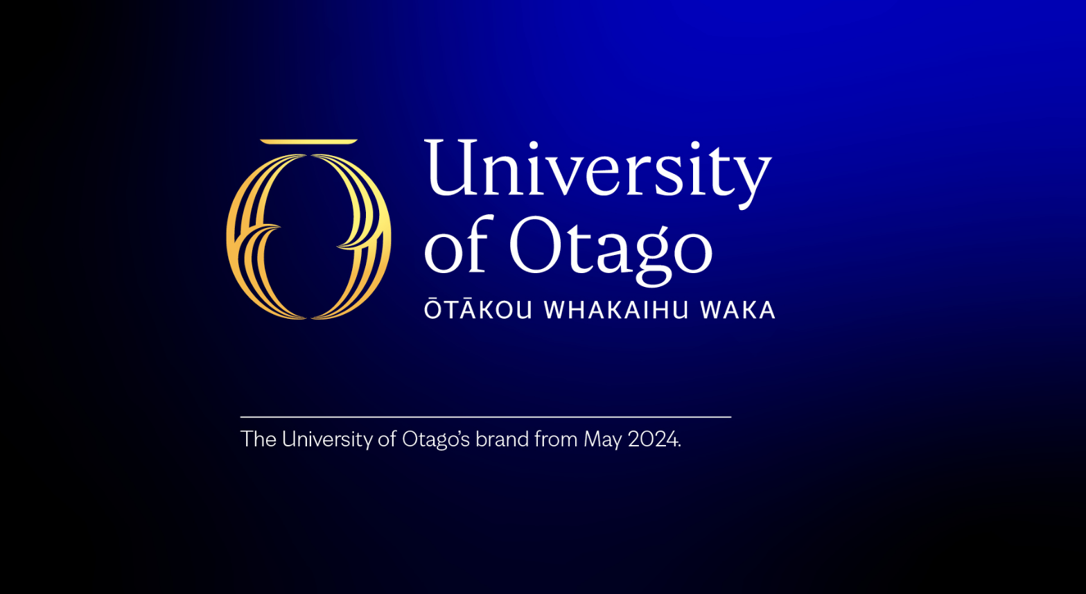 A screenshot of the university's new branding. 