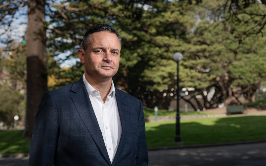 Green Party co-leader James Shaw. Photo: RNZ 