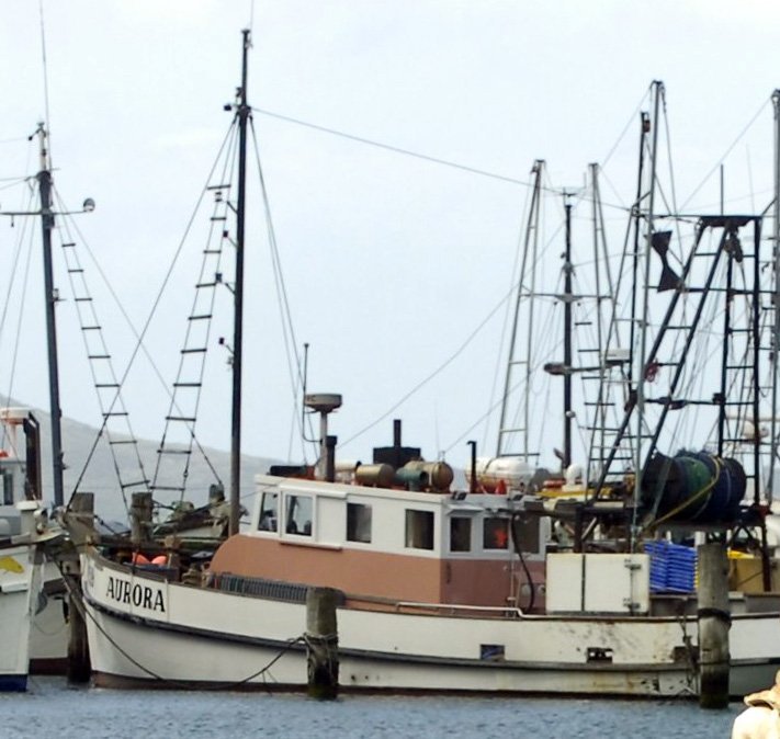 The fishing boat Aurora moored at Carey's Bay in 2009. Photo: ODT files  