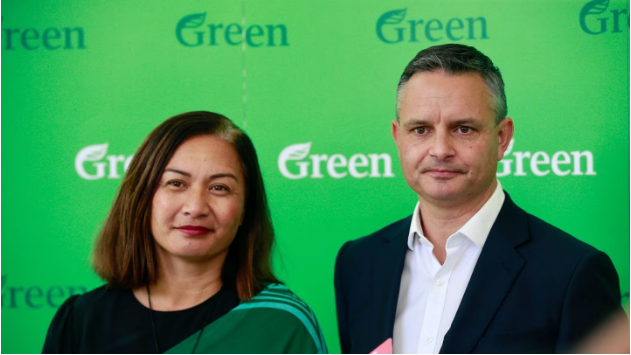 Marama Davidson and James Shaw. Photo: NZ Herald 