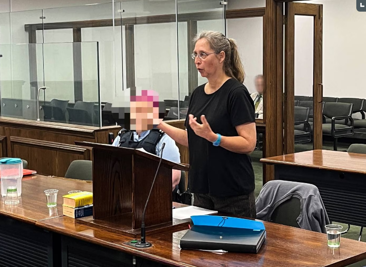 ris Huebler giving her statement in the High Court at Wellington. Photo: Ethan Griffiths