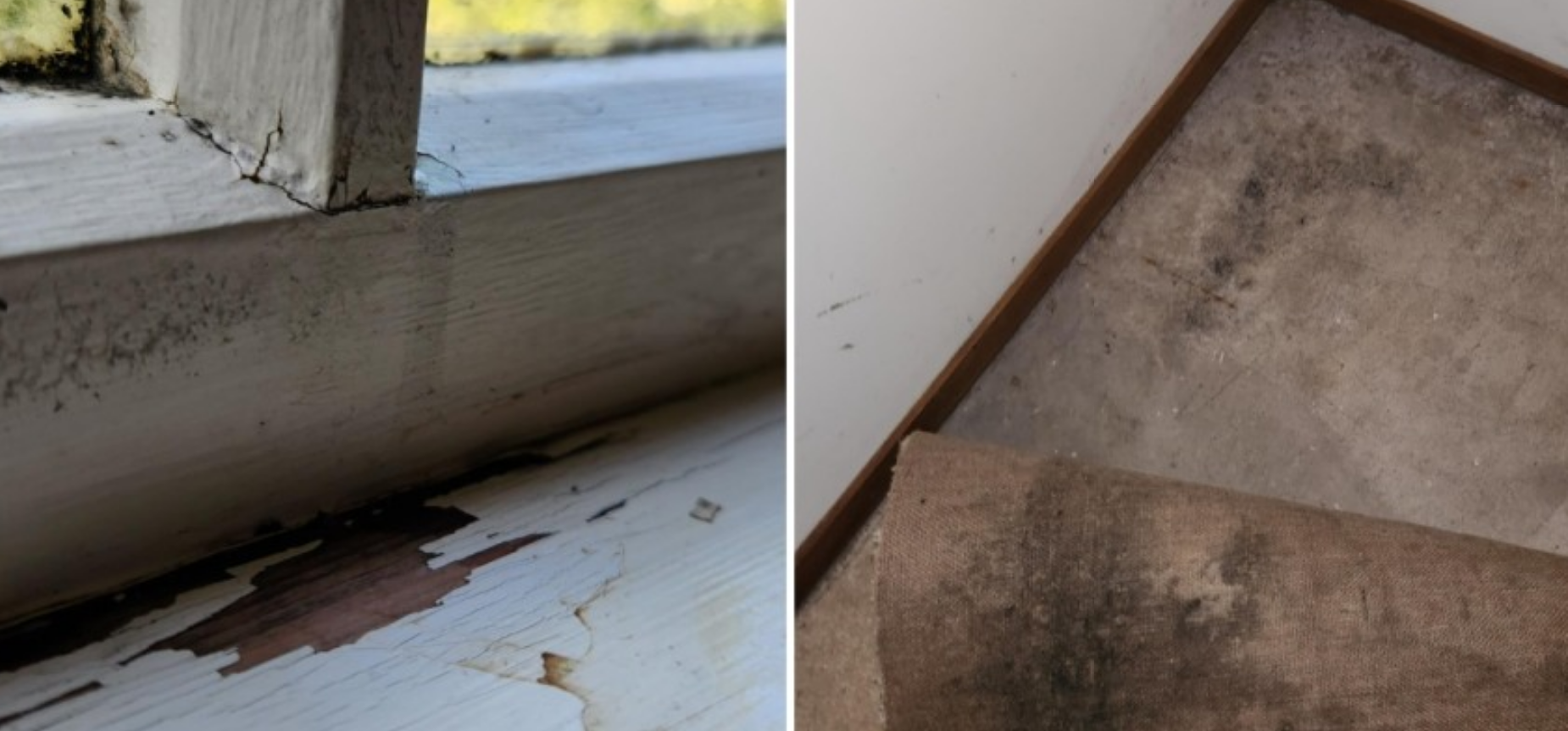 The mouldy, draughty windows and floor underneath carpet in Sarah Yates' flat. Photo: RNZ