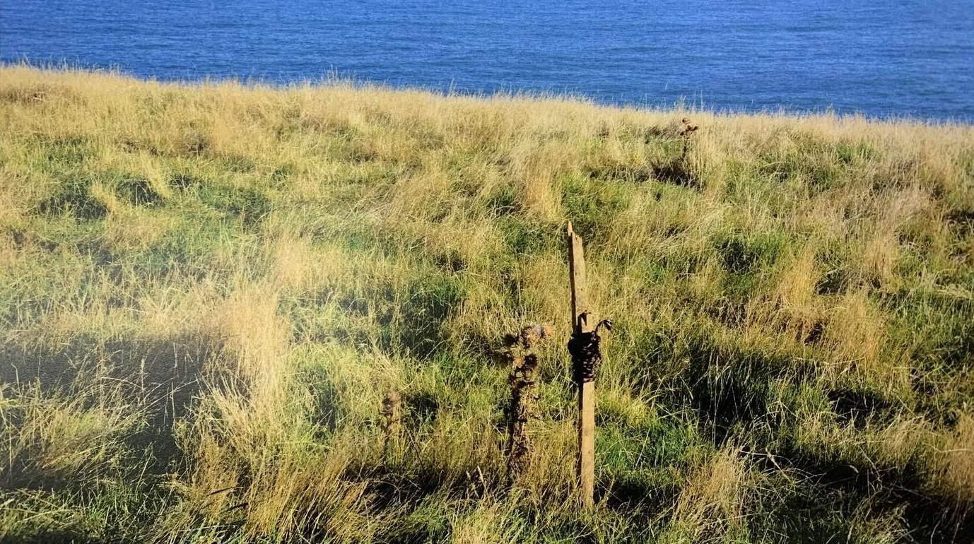 The stake was placed roughly 10m from the cliff edge the Beckenridges' vehicle went off, plunging...