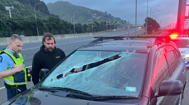 Dermot Frengley was left shocked after a light pole hit the car he was driving on the Wellington...