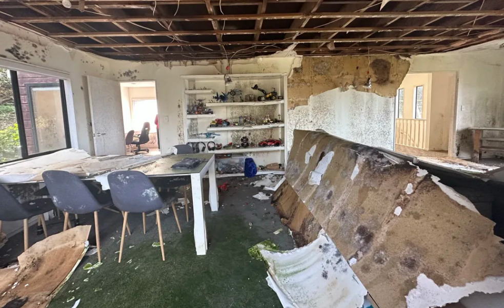 Julie Armstrong's Northcote property was badly damaged in the Auckland Anniversary storms, and...