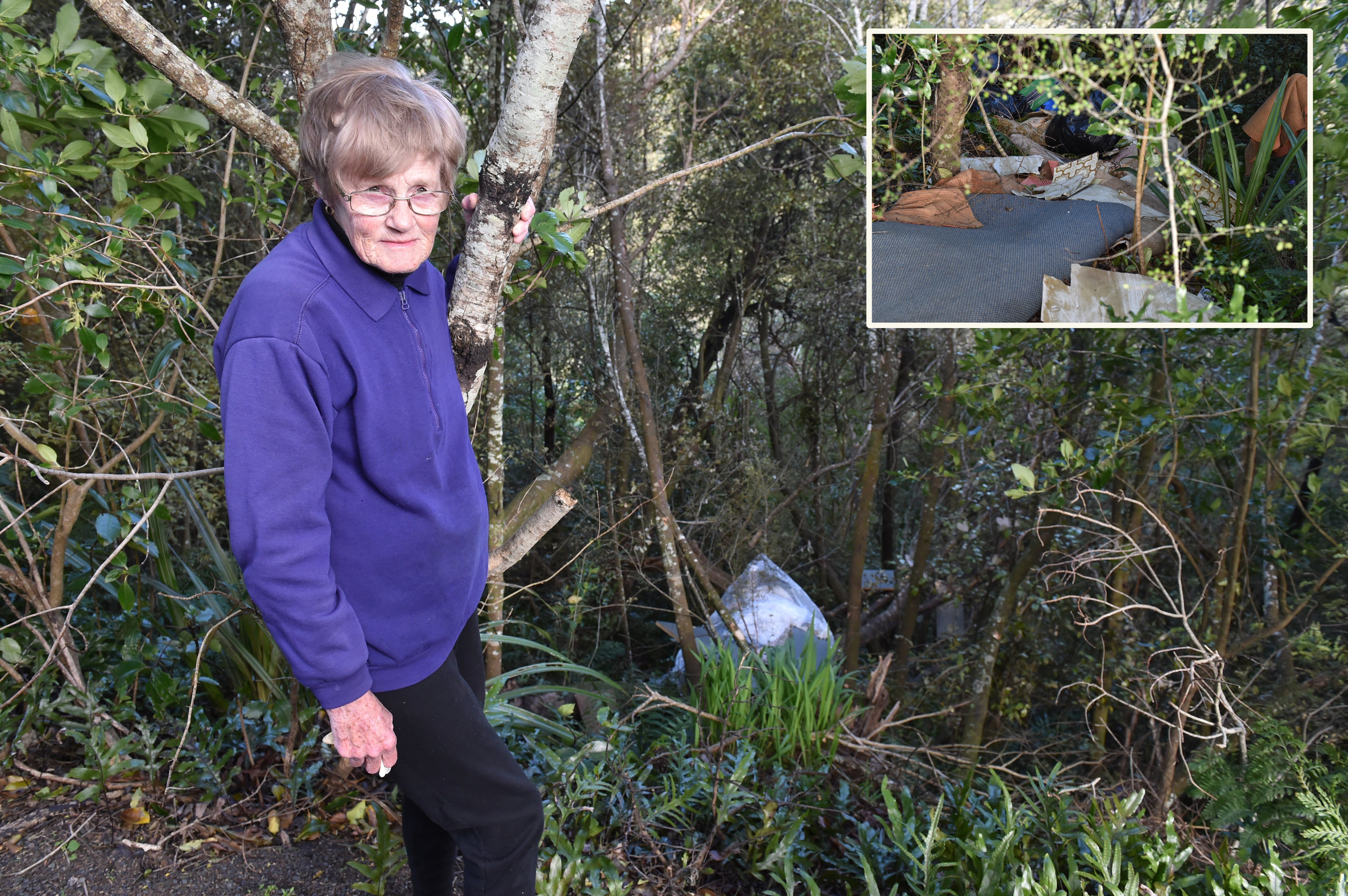 Dunedin resident Marlene Dick is disgusted after discovering a large pile of rubbish (inset)...