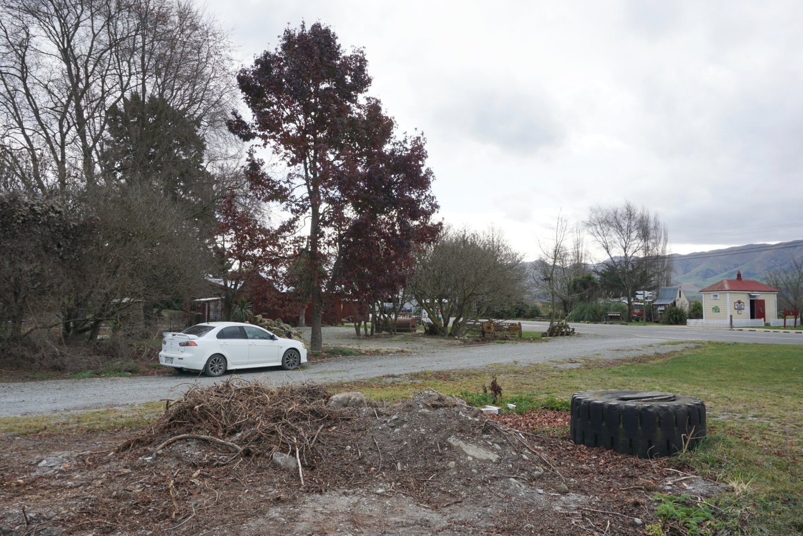 The site from where a 45-year-old tree was stolen in Duntroon. A tree of the same species and age...