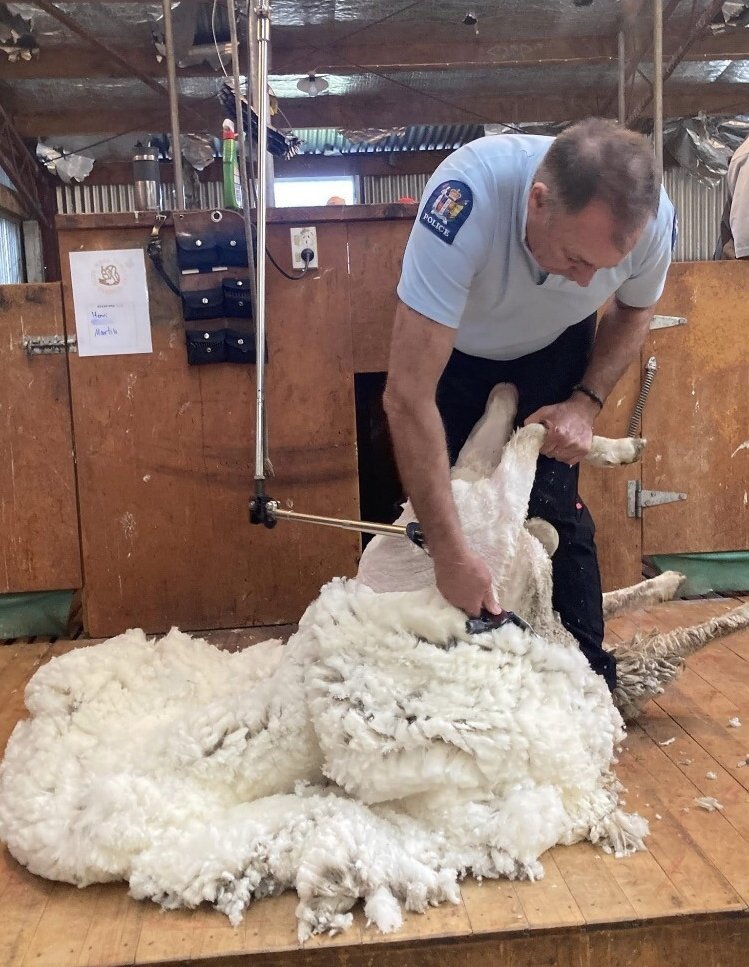 Paddy Henderson works in a Central Otago shearing shed. PHOTO: NZ POLICE
