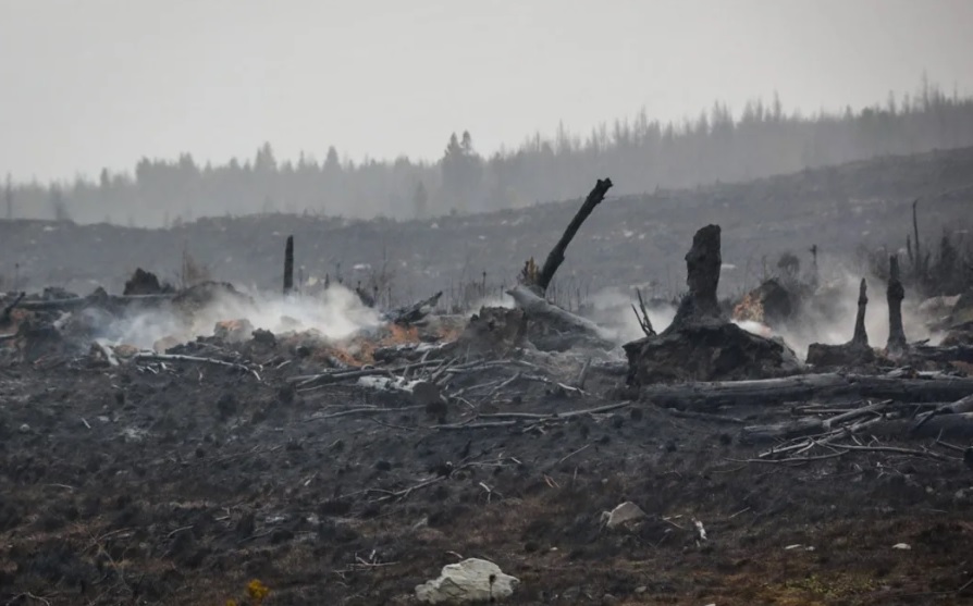 Aftermath of the the Pukaki Downs fire. Photo: RNZ