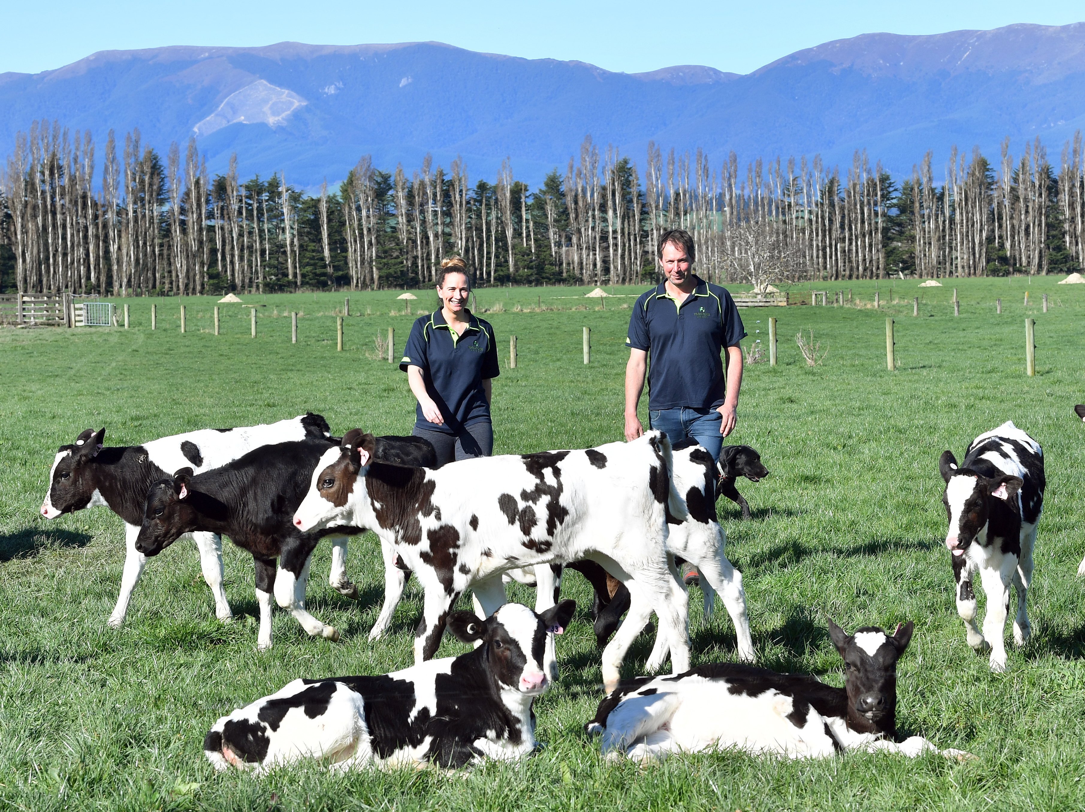 Holly and Stefan Roulston check out new-season calves on their property. 