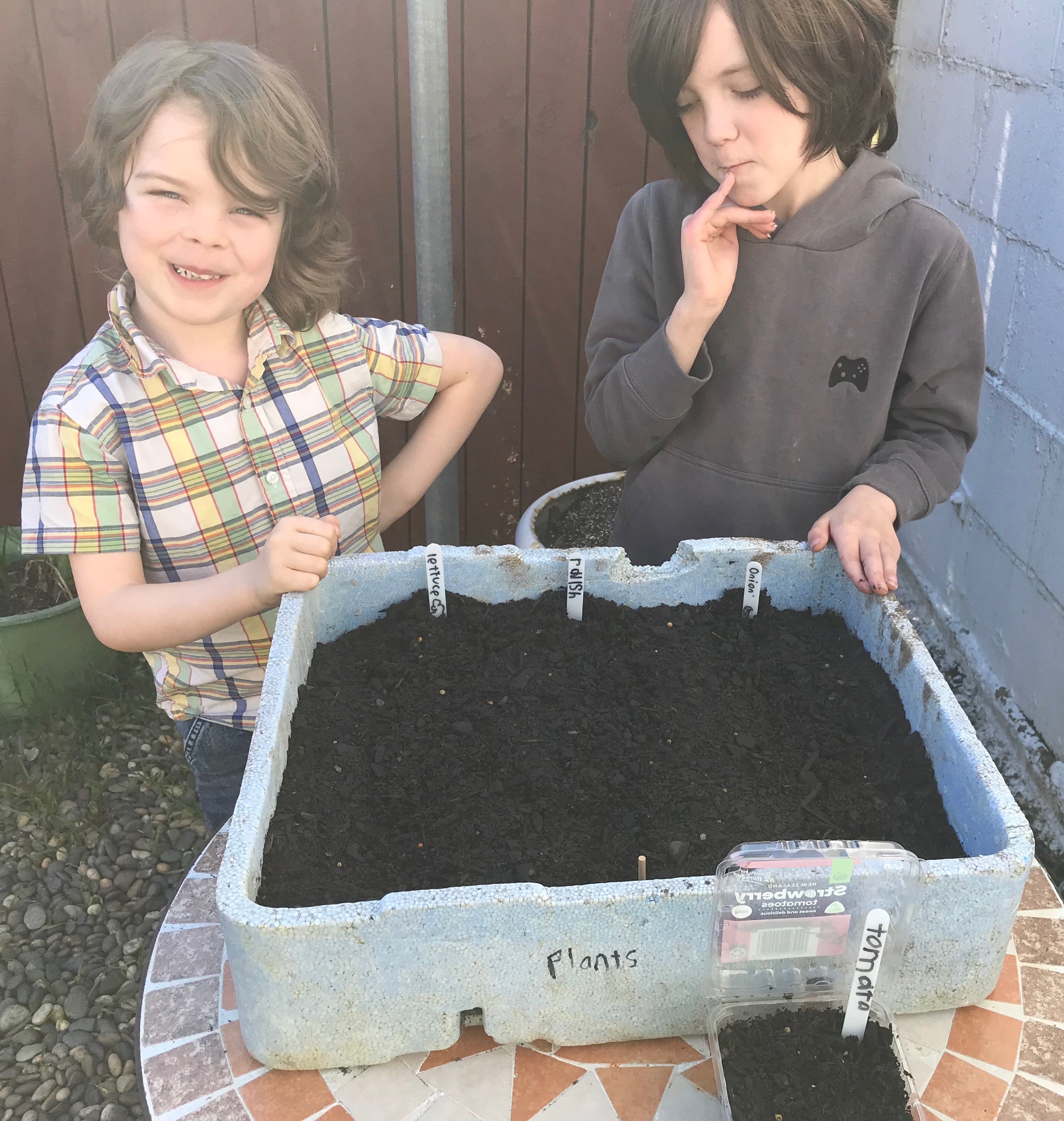 Theo, 6, and Arthur, 9, Shaw, of Dunedin, contemplate their seed-sowing efforts. Theo used the...