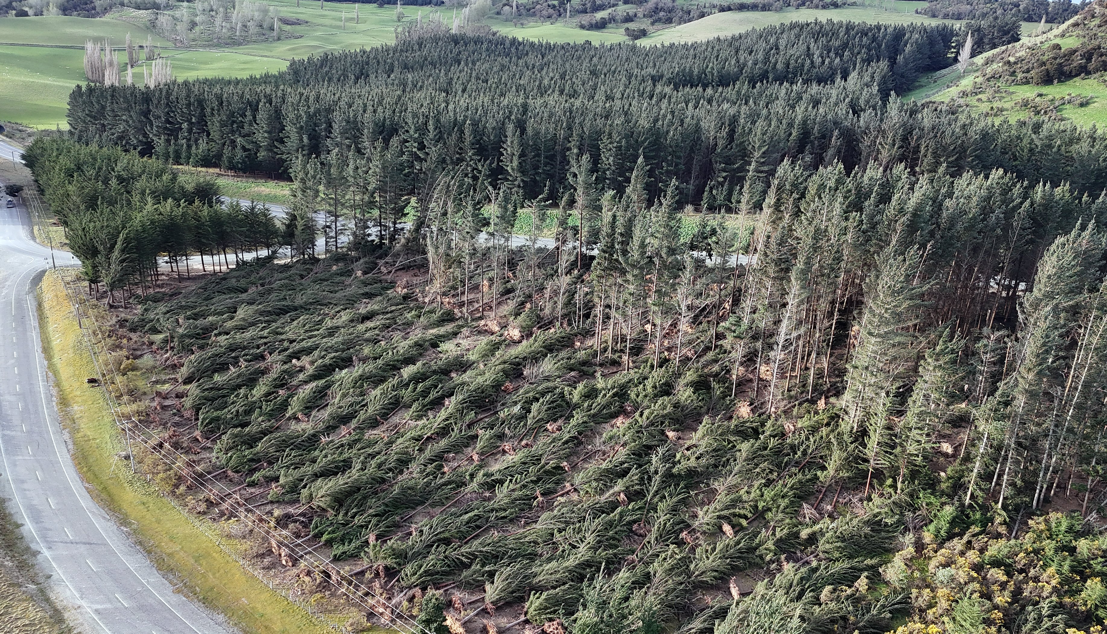 Gale-force winds took their toll in the South yesterday, the coastal area north of Dunedin being...