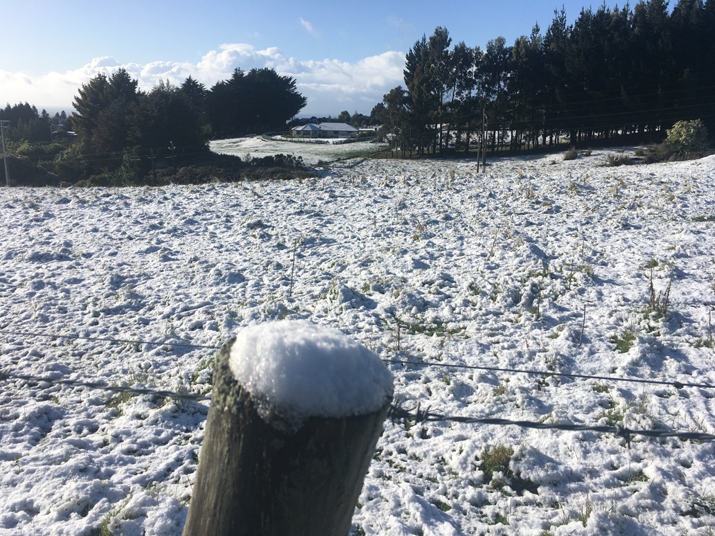 Snow in Dunedin's Three Mile Hill area on Frida morning. Photo: Gerard O'Brien