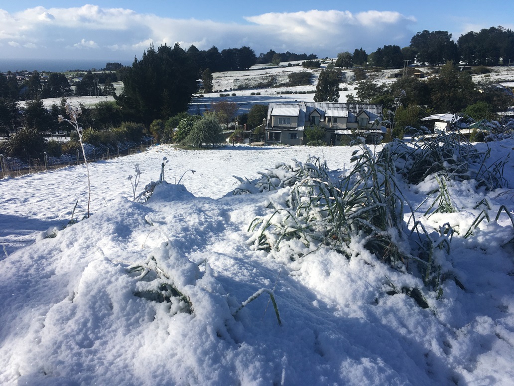 Snow in Halfway Bush, Dunedin, on Friday morning. Photo: Gerard O'Brien