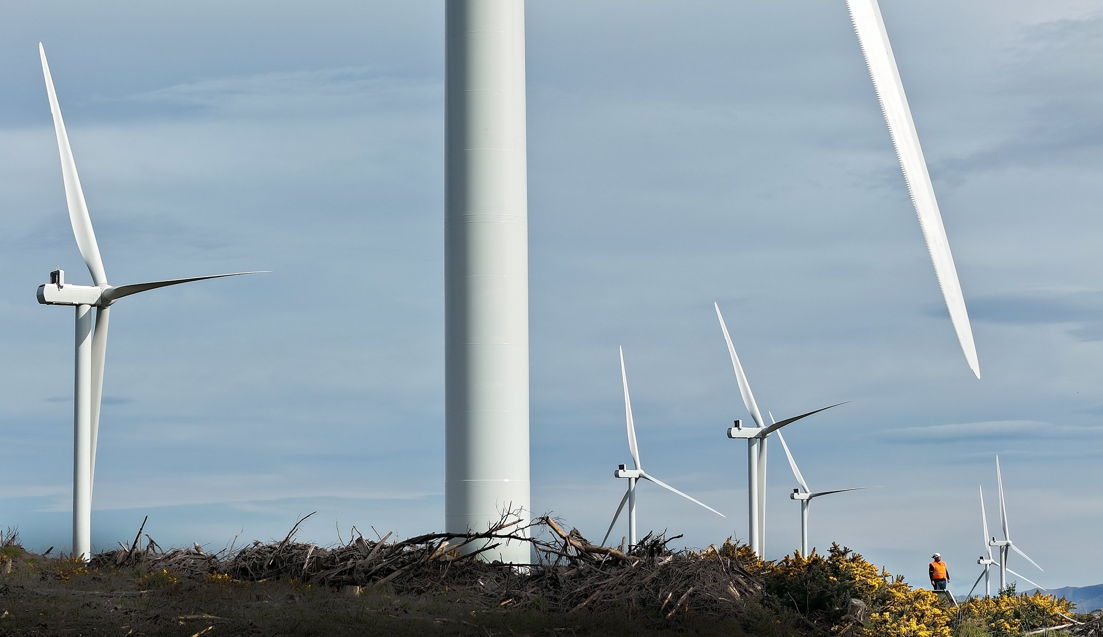 Higgins contractor Doug Hall looks up at the Kaiwera Downs wind farm. Photo: Stephen Jaquiery