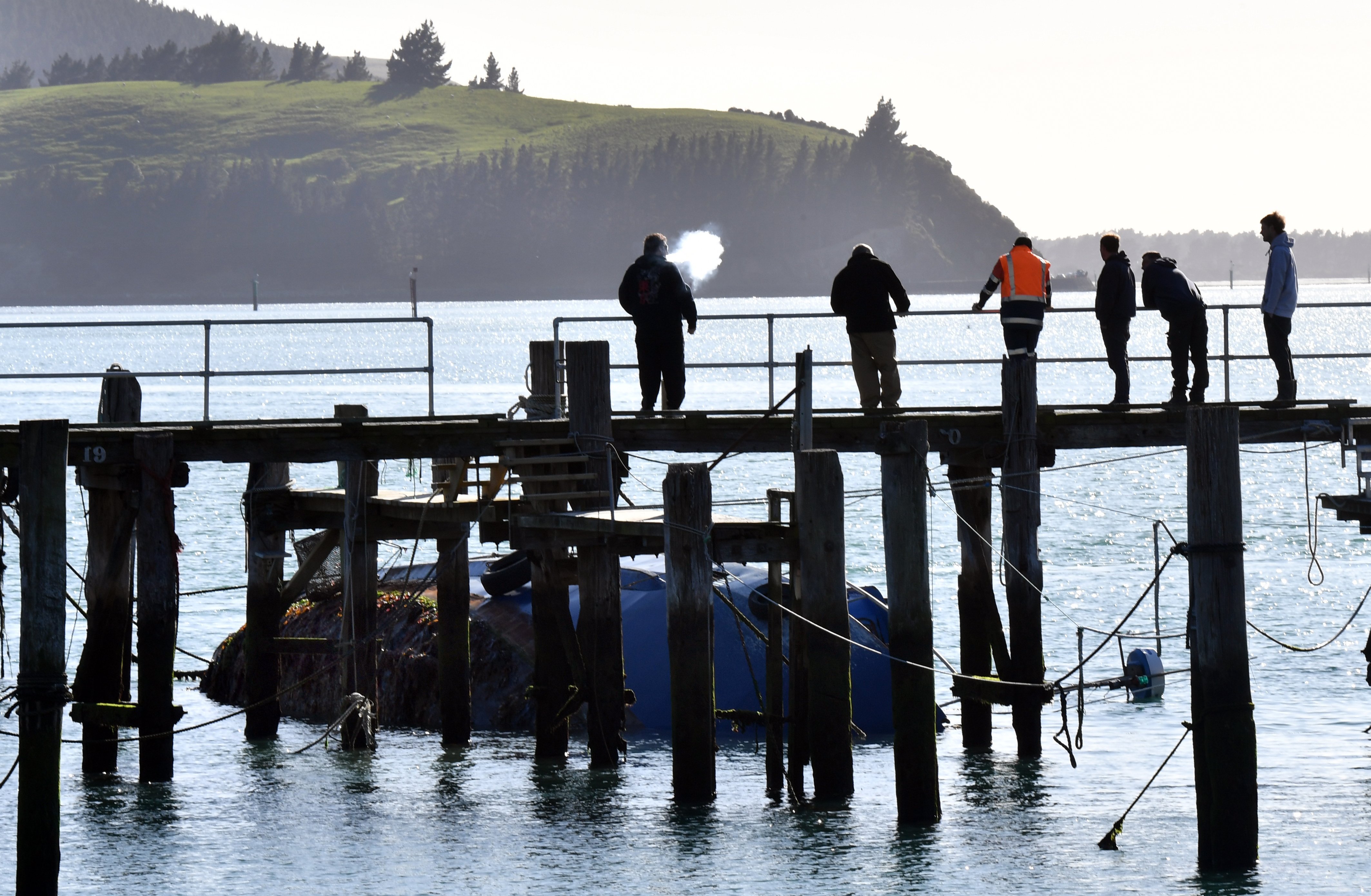 Otago Regional Council has removed 3300 litres of oily water from Careys Bay after Sandra Kay...