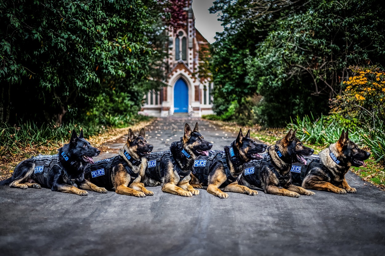 Nestled between the trees at East Taieri Presbyterian Church are Dunedin’s dog section (from left...