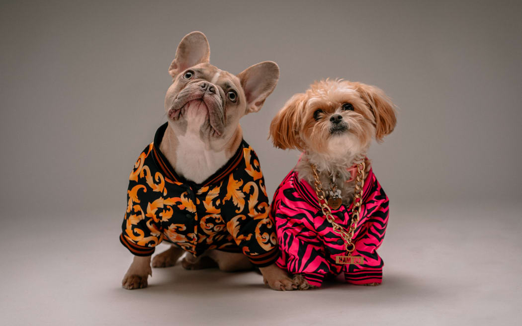 House & Home - Meet The Pampered Pets Of These Celebrity Designers