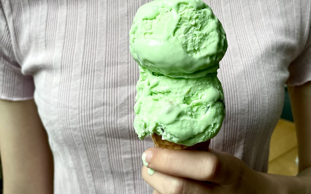 New Zealanders love ice cream, why not make your own? Photo: Lucy Corry / RNZ