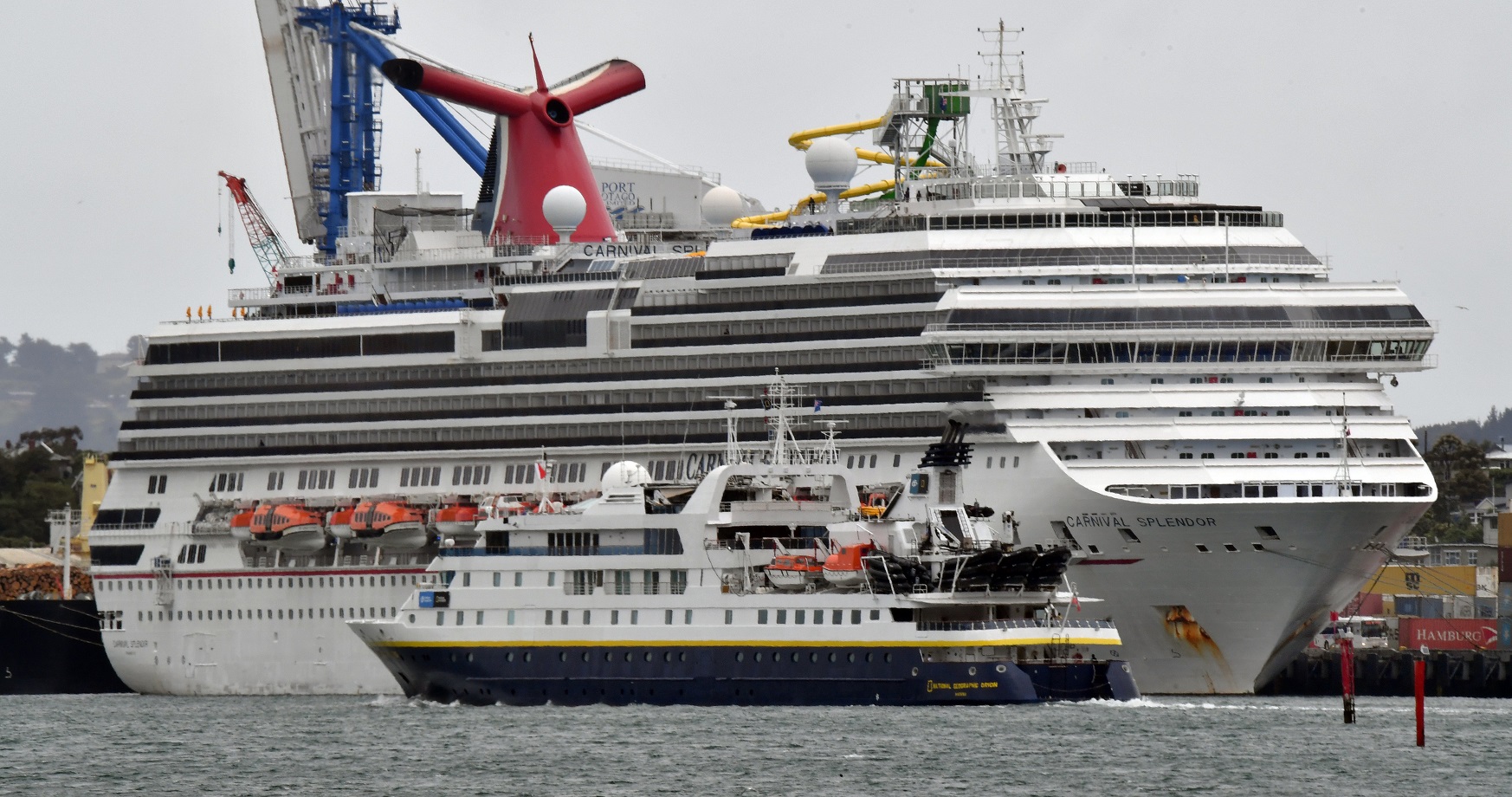 The cruise ship National Geographic Orion passes the Carnival Splendor at Port Chalmers yesterday...