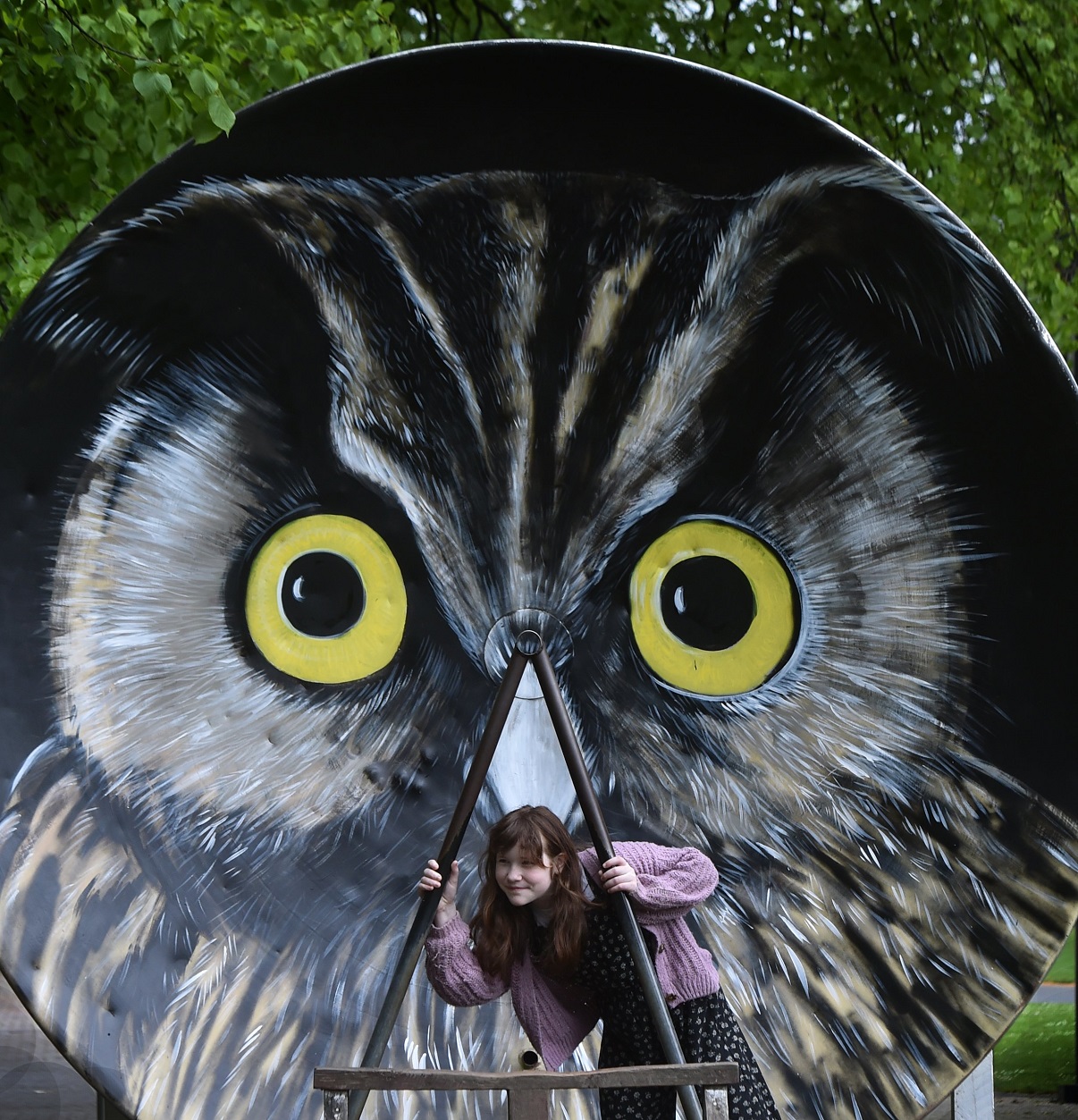 Bella Alderson, 10, of Dunedin, admires a native eagle owl, painted by Dunedin artist Bruce...