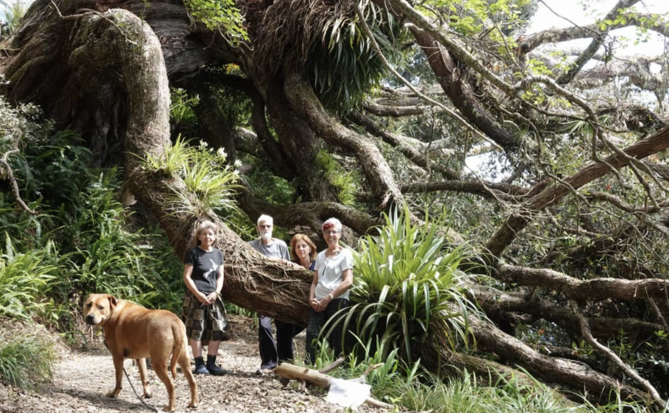 From left, Linda Harris, Rob Pringle, Cynthia Matthews, Carol Pringle and Savi the dog with the...