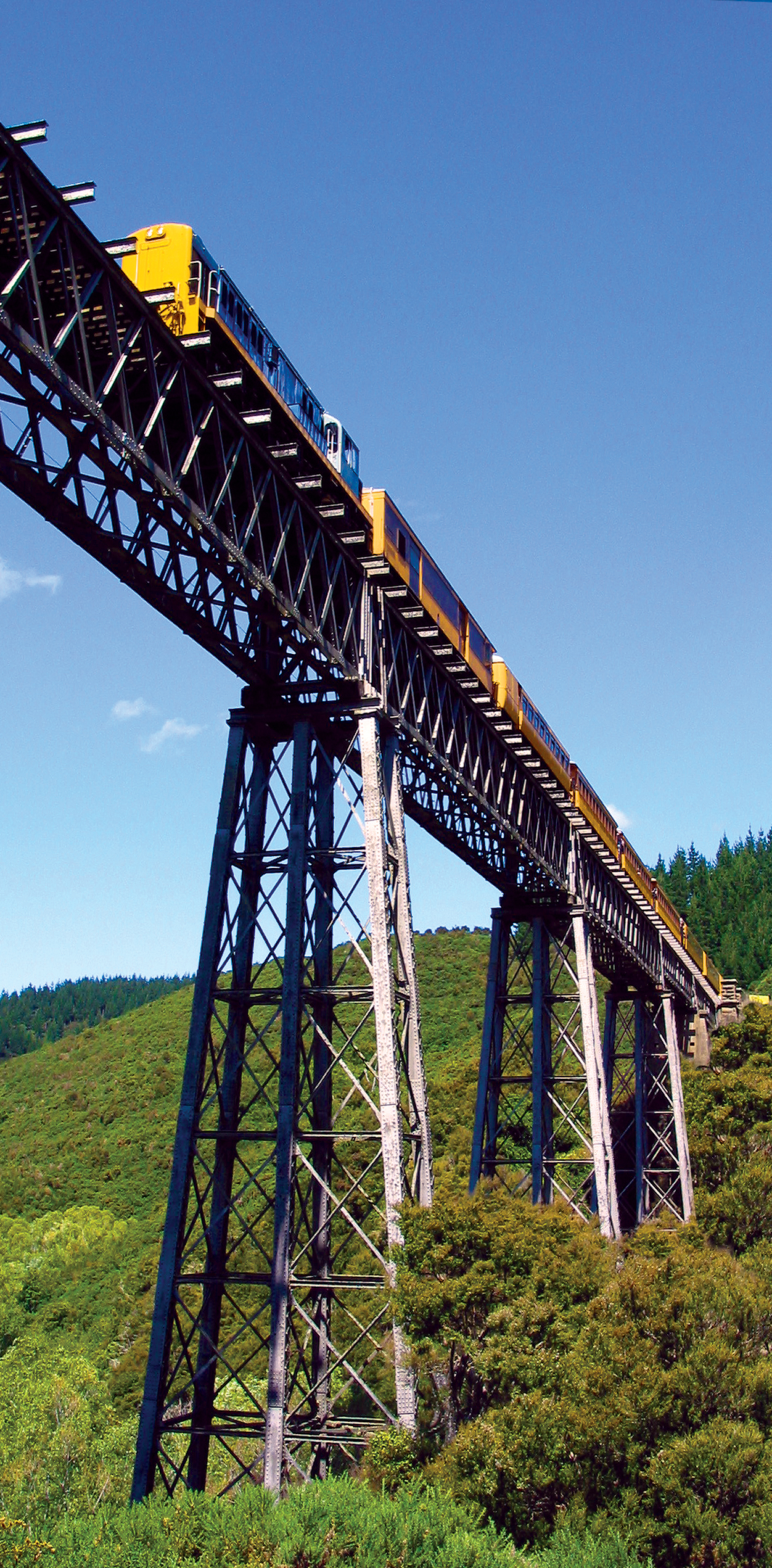 A train crosses the Wingatui viaduct. PHOTO: ODT FILES