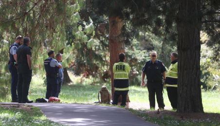 A body has been found in the Avon River in central Christchurch this morning. Photo: George Heard