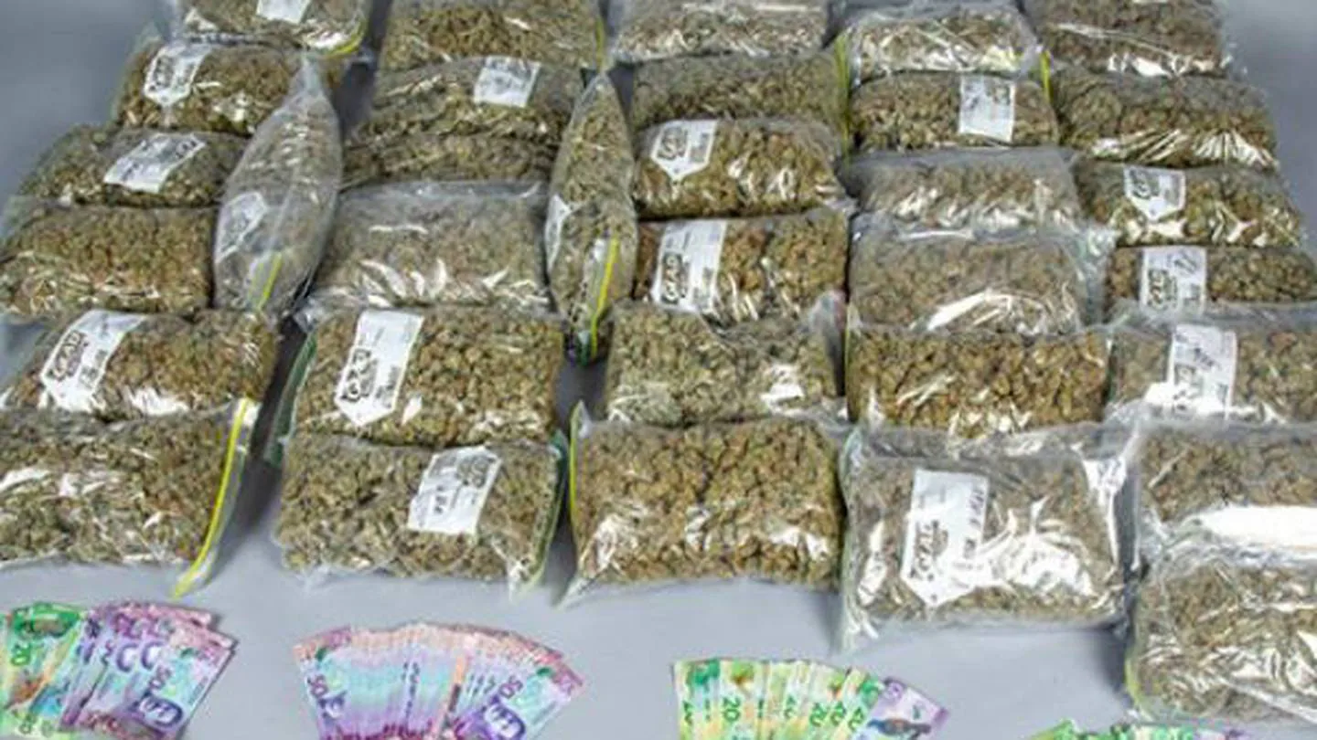 Hawke’s Bay Police located 15 kilograms of cannabis and a substantial amount of cash during a...