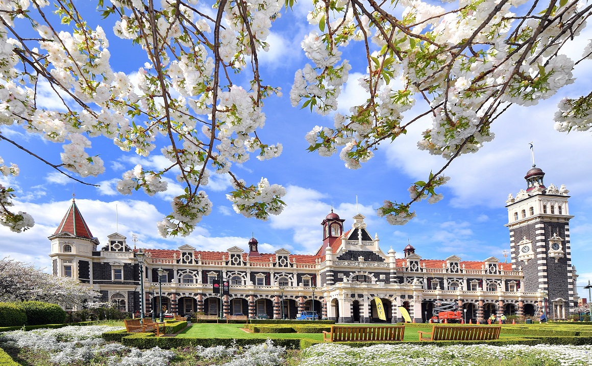 Spring emerged in its usual beautiful manner in most of Otago this year. Here blossoms highlight...