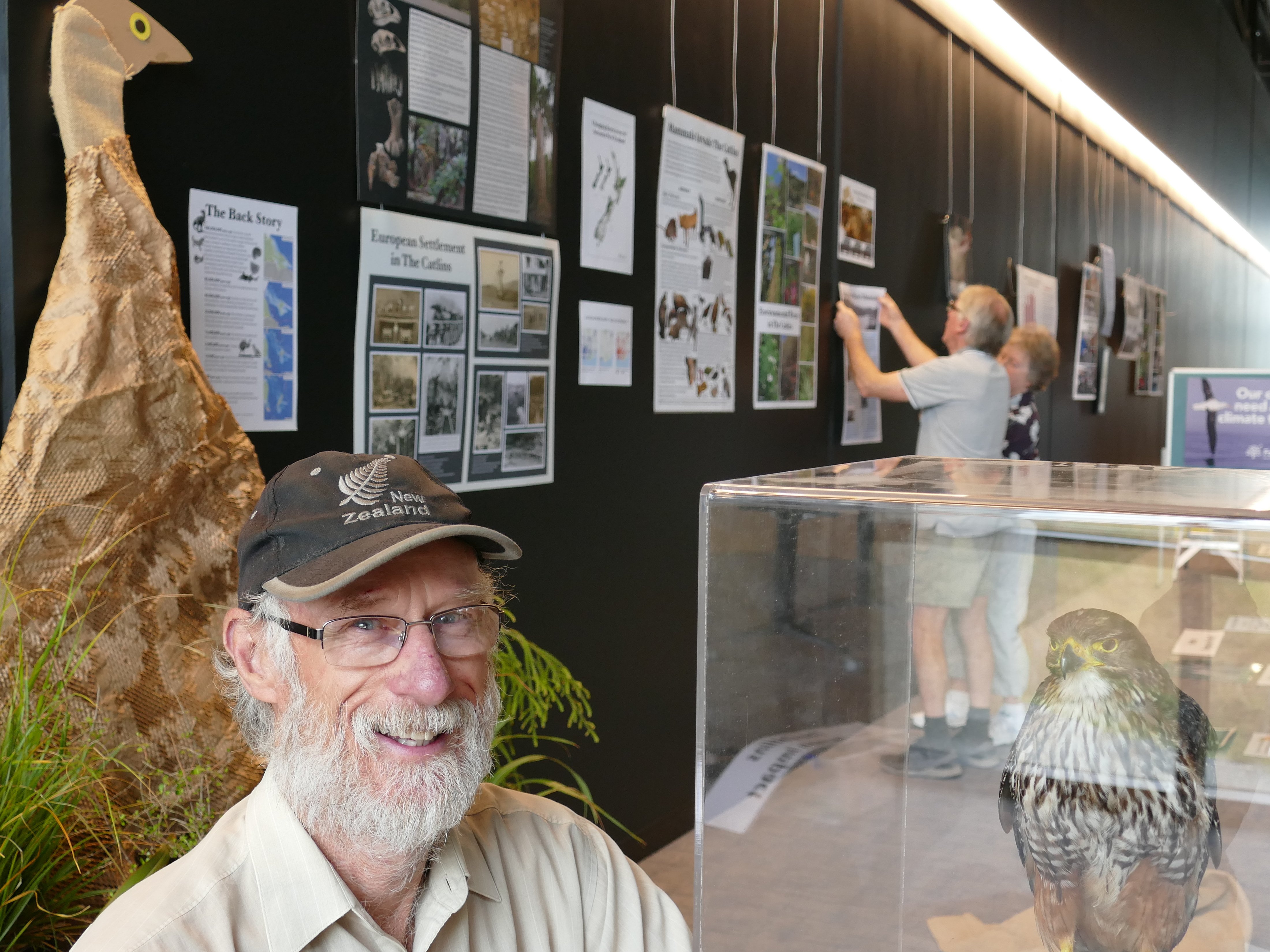 South Otago Forest & Bird co-chairman Roy Johnstone inspects a kārearea exhibit during set-up for...