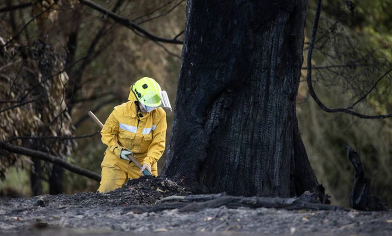 Fire crews remained at the scene of fires in Loburn and Amberley today. Photo: NZ Herald 