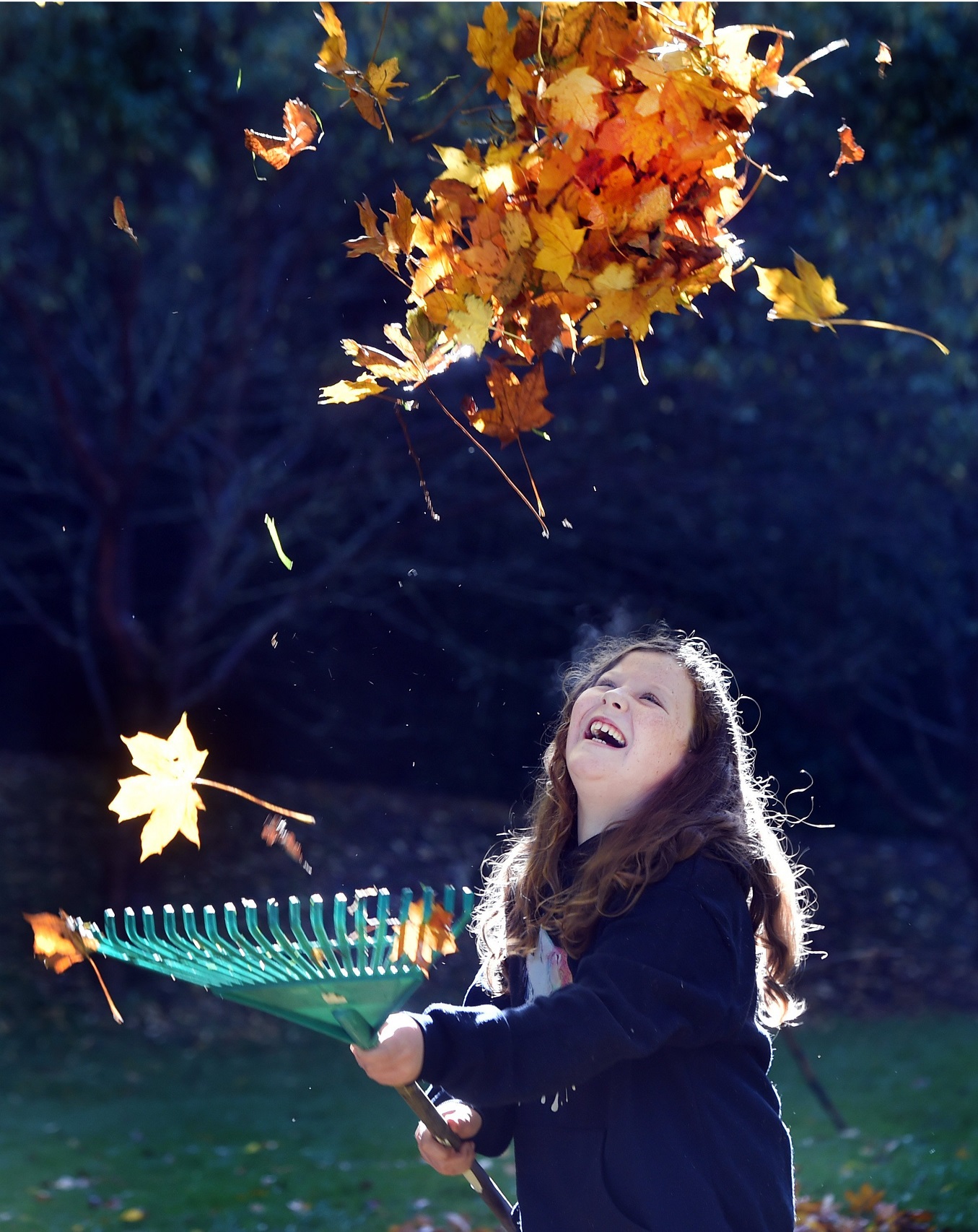 Leaves backlit in the air, dark background, with a fantastic expression of Anoushka Eyen Knox, 9,...