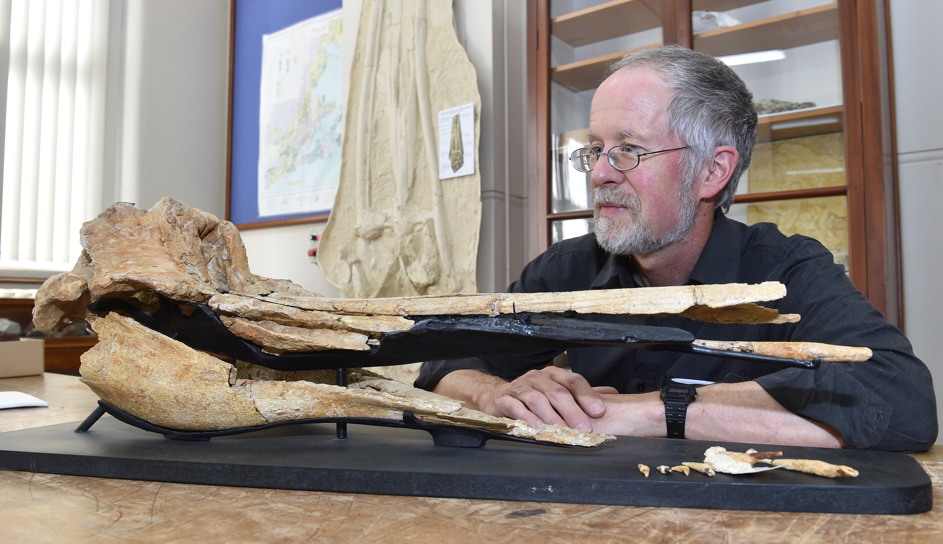 Ewan Fordyce with a dolphin fossil. Photo: Gregor Richardson