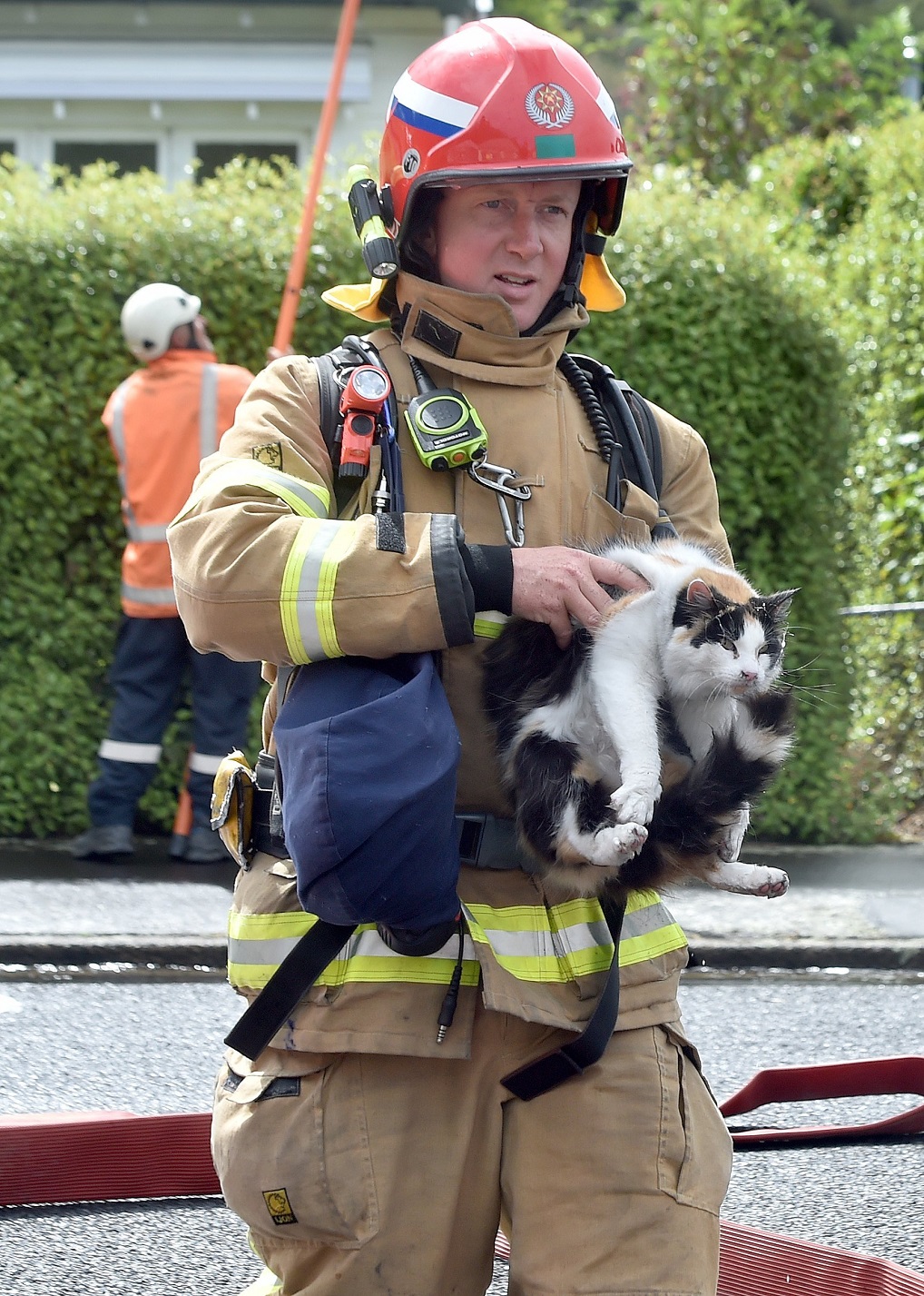 It always makes a great image when a fireman carries an animal to safety from an incident. 