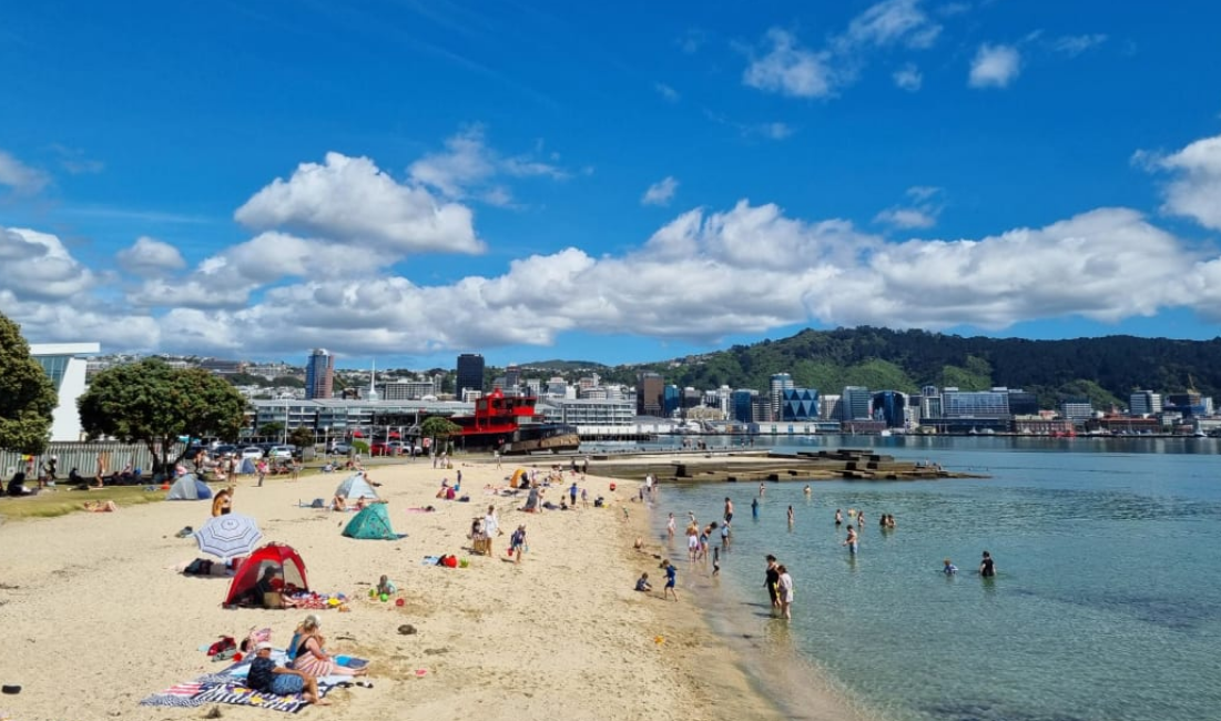 Wellingtonians cool off at Freyberg Beach. Photo: RNZ
