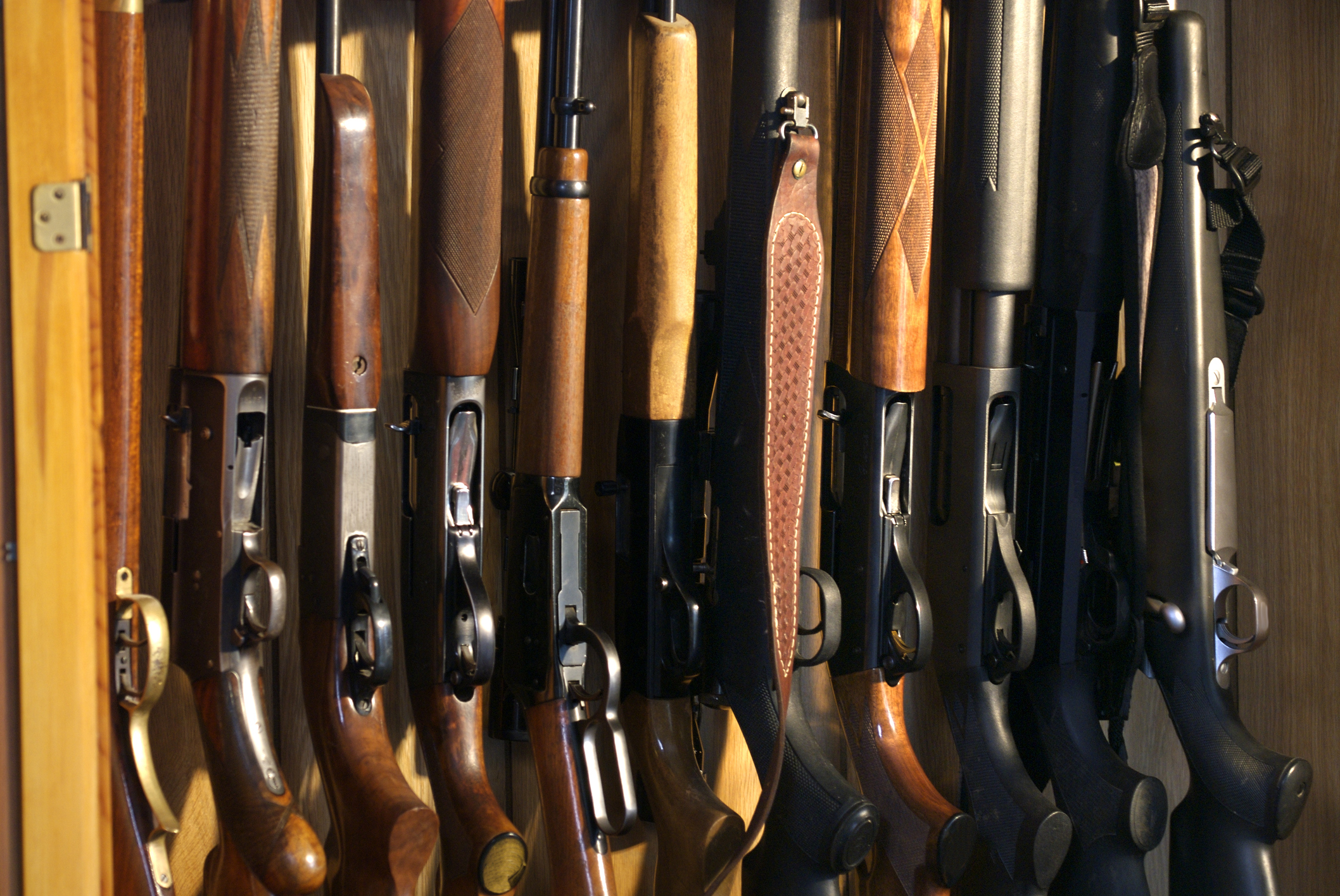 More than 100,000 firearms have been entered into the new Firearms Registry since it was launched...