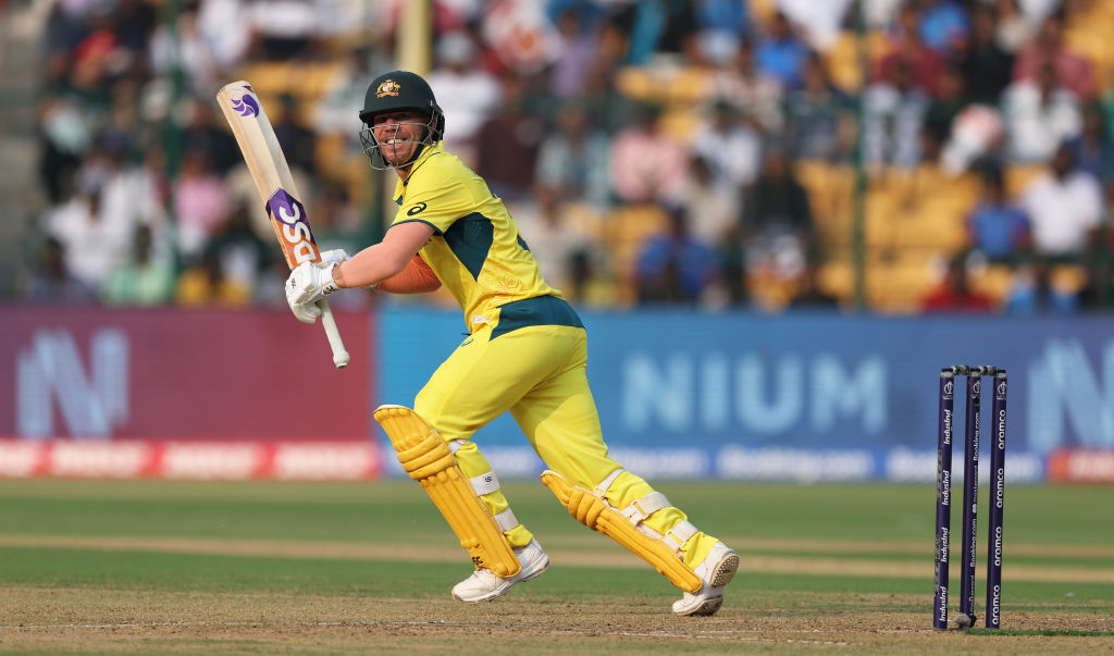 David Warner in action at the Cricket World Cup in India last year. Photo: Getty Images