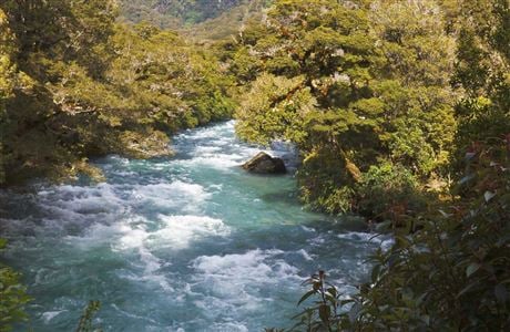 Marian Creek is near the Hollyford River (pictured). Photo: Doc