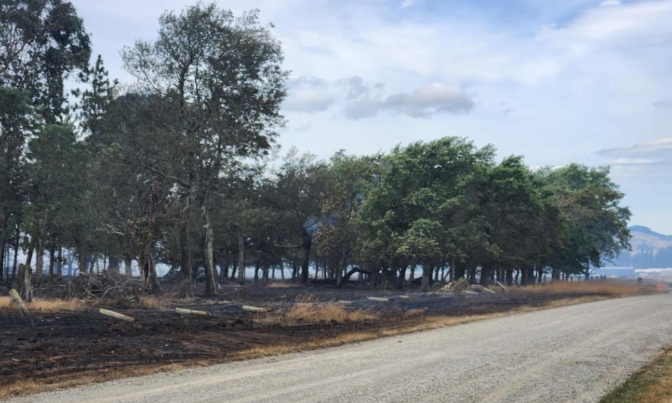 A fire along Racecourse Rd has been contained. Photo: RNZ 