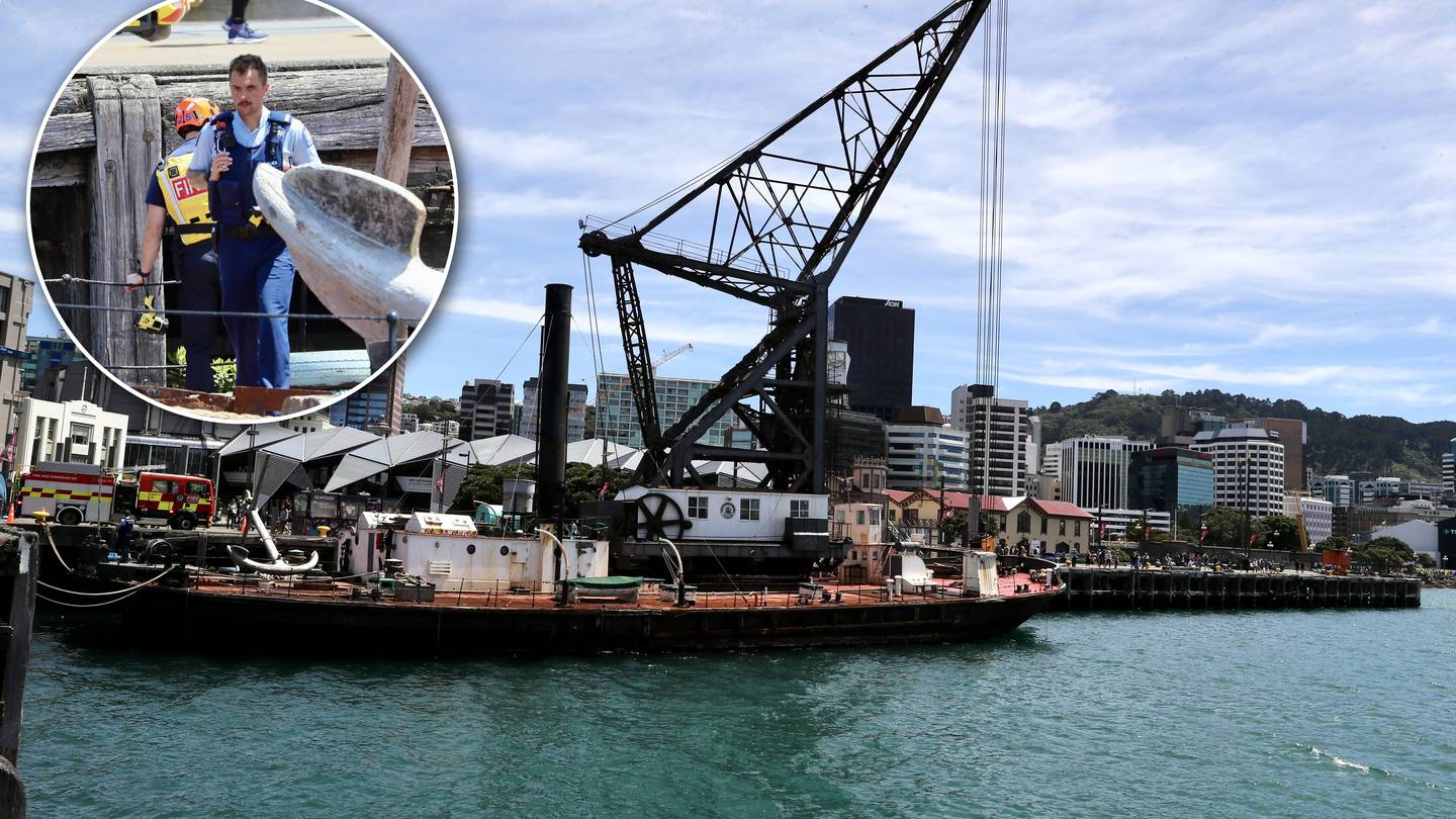 Police search the Wellington Harbour where a person failed to surface after jumping from a crane....