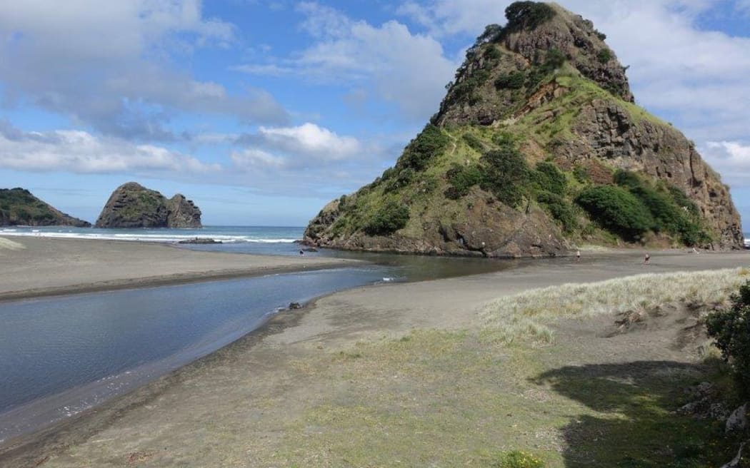 Piha beach and lagoon Photo: RNZ/Anusha Bradley