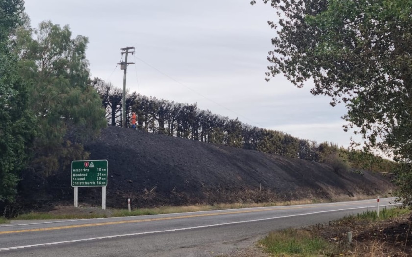 Burnt vegetation on farmland next to State Highway 1 before the Waipara River Bridge. Photo: RNZ