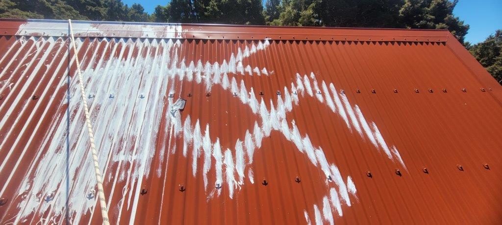 Swastikas were painted on the roof of the 12-bed Kirwans Hut, near Reefton. Photos: DoC