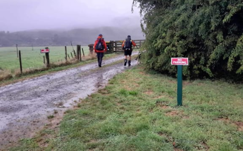 Searchers looking for Brent Harrison. Photo: Supplied