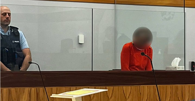 The accused appeared in Wellington District Court this morning. Photo: NZ Herald 